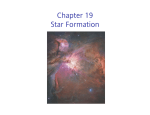 Chapter 19 Star Formation