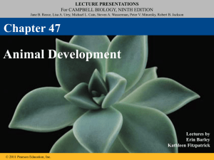 Chapter 47 9th ed ppt
