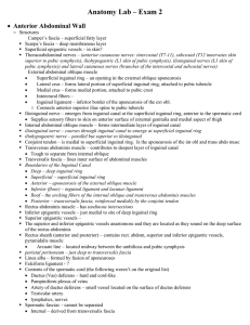 Anatomy Lab – Exam 2