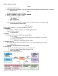 Cell Bio 5- SDL Spinal Reflexes Circuits A neuron never works