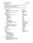 Lecture 1 – Anatomy Basics