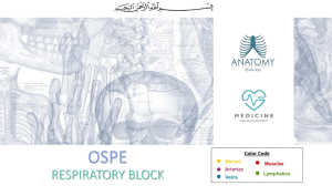 ANATOMY OSPE2017-02-28 08:406.6 MB
