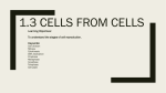 1.3 Cells from cells