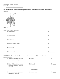 Chapter 7 Practice Questions