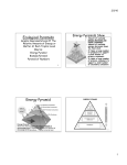 Ecological Pyramids Notes