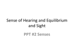 7 ppt Senses: Hearing and sight - Liberty Union High School District