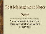 Pest Management Notes