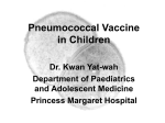 Pneumococcal Conjugate Vaccine