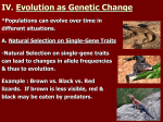 IV. Evolution as Genetic Change
