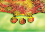 Chapter 18 The Immune System