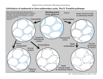 Cementation Compaction More cementation More compaction