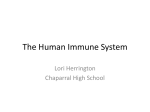 The Immune System