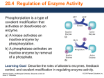 4 Regulation Enzyme Activity GOB Structures