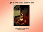 Dye Sensitized Solar Cells