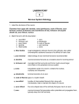 Lab 9 Nervous histology post lab answer key 2010