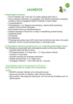 3.1 Jaundice Management guidelines