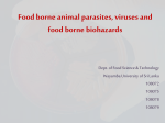 Food borne animal parasites, viruses and food borne biohazards