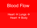 Blood Flow Through the Heart - Science