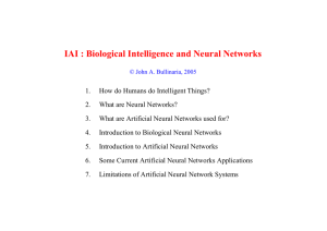IAI : Biological Intelligence and Neural Networks