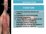 Click here : Respiratory System ppt