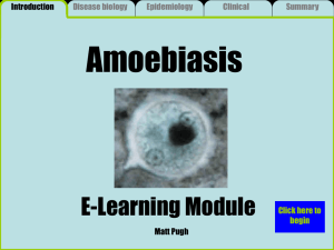 The Amoebiasis module is available here.
