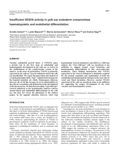 VEGFA in yolk sac endoderm - Development