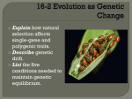 16-2 Evolution as Genetic Change PowerPoint