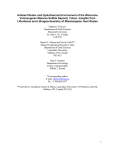 Wolverine Deposit Stratigraphy and Shale Relationships