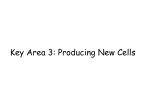 Producing New Cells