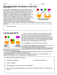 ENZYMES MAKE THE WORLD GO `ROUND