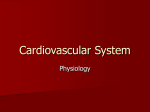 Cardiovascular System