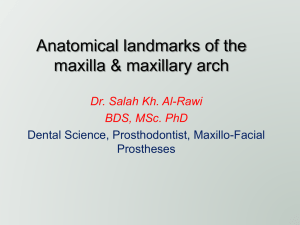 Hard Palate