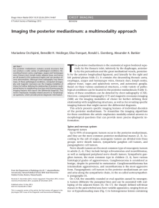 Imaging the posterior mediastinum: a multimodality approach