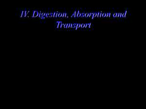 IV Digestion`02 - U of L Class Index