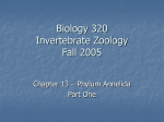 Biology 320 Invertebrate Zoology Fall 2005