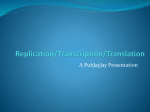 Replication/Transcription/Translation