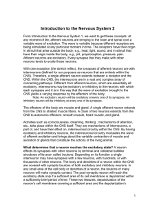 NervousSystem2