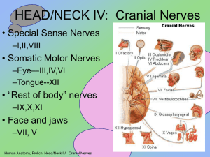 HEAD/NECK IV: Cranial Nerves