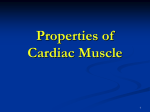 Properties of Cardiac Muscle Fibers