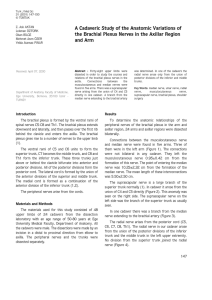PDF ( 7 ) - DergiPark