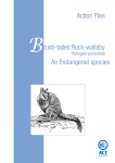 Action Plan for the Brush-tailed Rock-wallaby