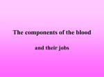 The components of the blood