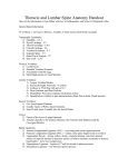 Thoracic and Lumbar Spine Anatomy Handout