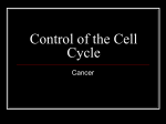 Control of the Cell Cycle PPT