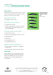 Viral diseases—Infectious pancreatic necrosis