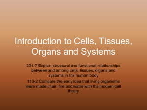 Introduction to Cells, Tissues, Organs and Systems