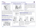 Examination of the Lymph Nodes