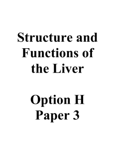 Structure of the Liver
