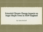 Potential Climate Change impacts on Sugar Maple Trees in NEW