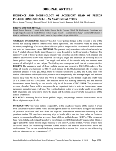 incidence and morphology of accessory head of flexor pollicis